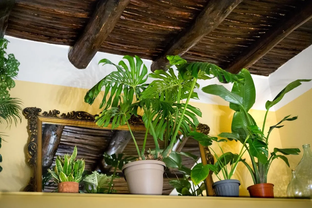 Bed and Breakfast Monart Hospitality Capodimonte Napoli